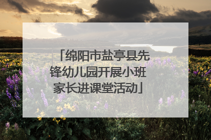 绵阳市盐亭县先锋幼儿园开展小班家长进课堂活动